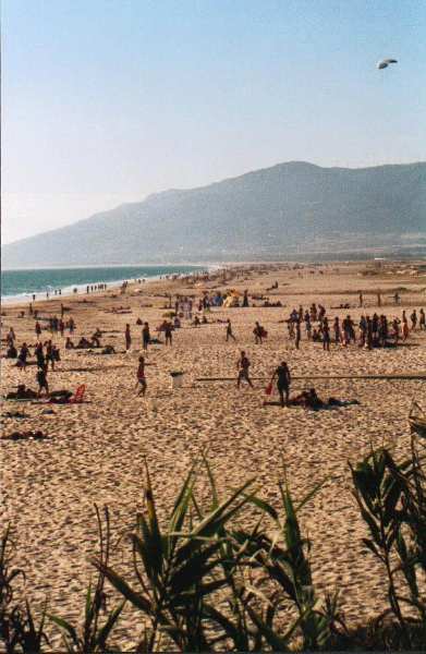 Tarifa8